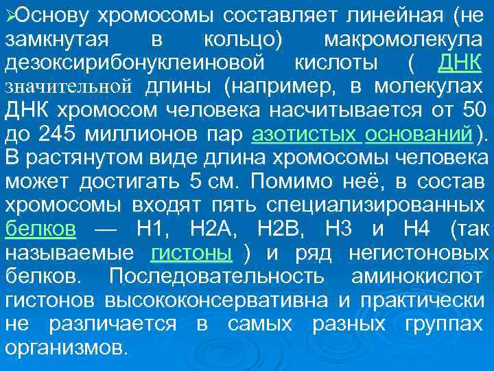 ØОснову хромосомы составляет линейная (не замкнутая в  кольцо) макромолекула дезоксирибонуклеиновой кислоты ( ДНК