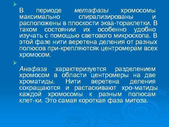 Ø В  периоде метафазы  хромосомы максимально  спирализированы   и расположены