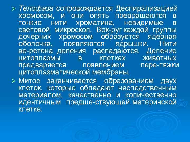 Ø Телофаза сопровождается Деспирализацией  хромосом,  и они опять превращаются в  тонкие