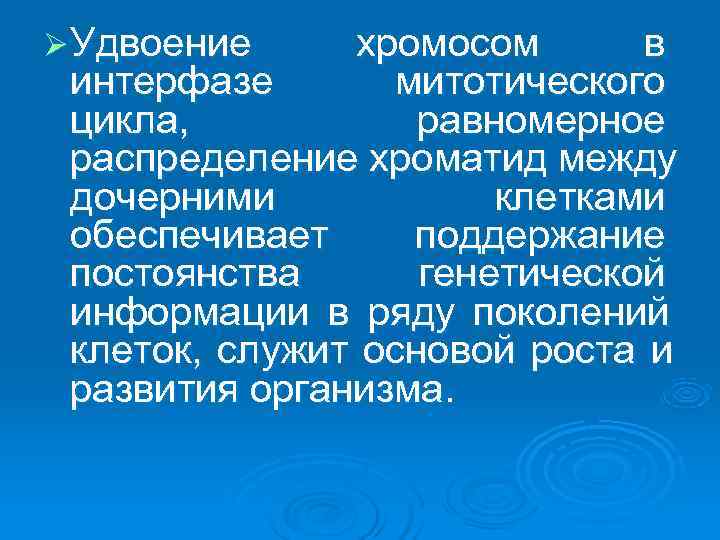 Ø Удвоение  хромосом  в  интерфазе   митотического  цикла, 