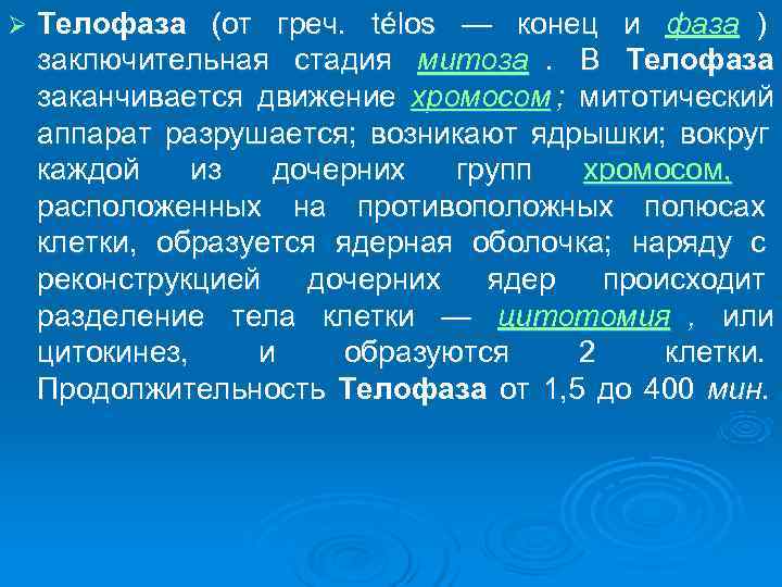 Ø  Телофаза (от греч.  télos — конец и фаза ) заключительная стадия