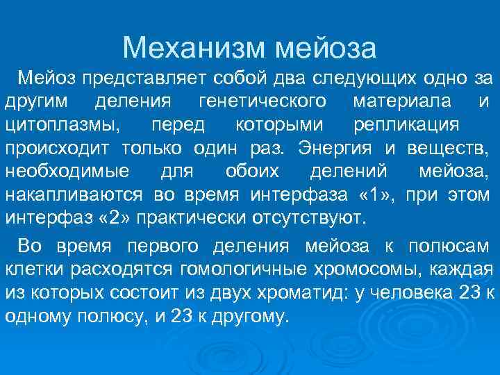   Механизм мейоза Мейоз представляет собой два следующих одно за другим деления генетического