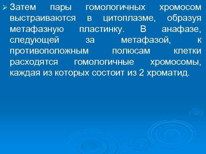 Ø Затем пары гомологичных хромосом  выстраиваются в цитоплазме,  образуя  метафазную пластинку.