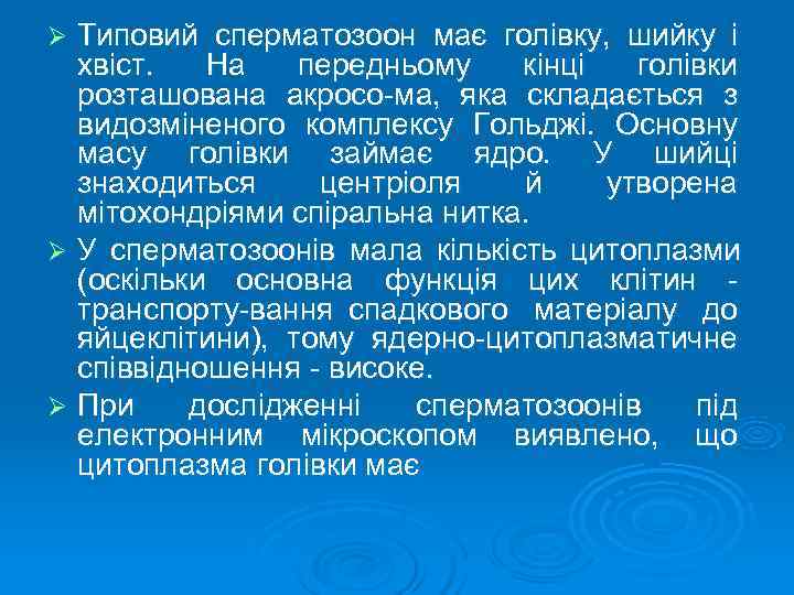 Ø Типовий сперматозоон має голівку,  шийку і  хвіст.  На передньому кінці