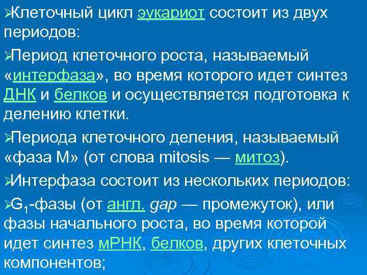 ØКлеточный цикл эукариот состоит из двух периодов: ØПериод клеточного роста, называемый  «интерфаза» ,