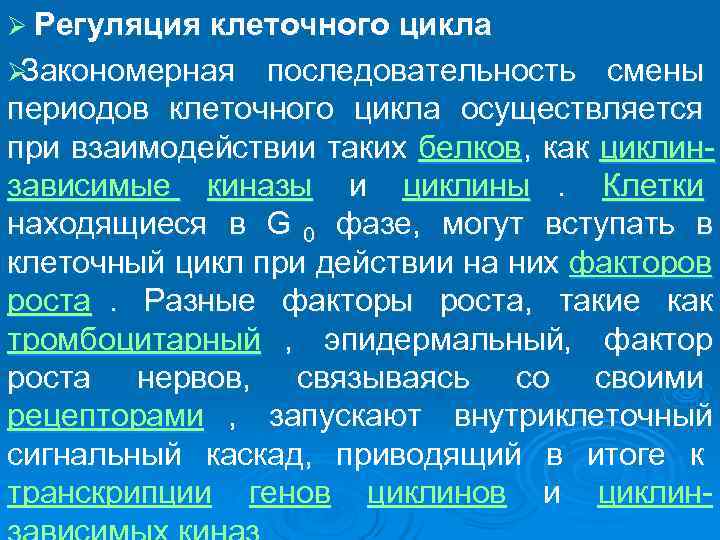 Ø Регуляция клеточного цикла ØЗакономерная  последовательность смены периодов клеточного цикла осуществляется при взаимодействии