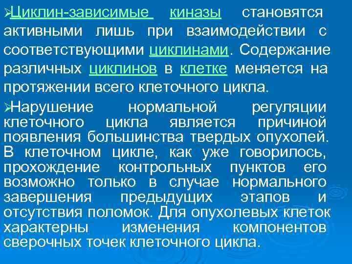 ØЦиклин зависимые киназы становятся       активными лишь при взаимодействии