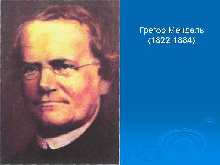 Грегор Мендель  (1822 1884) 