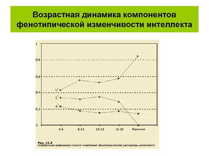   Возрастная динамика компонентов фенотипической изменчивости интеллекта 