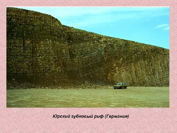 Юрский губковый риф (Германия) 