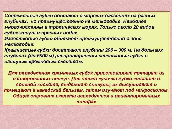 Современные губки обитают в морских бассейнах на разных глубинах, но преимущественно на мелководье. Наиболее