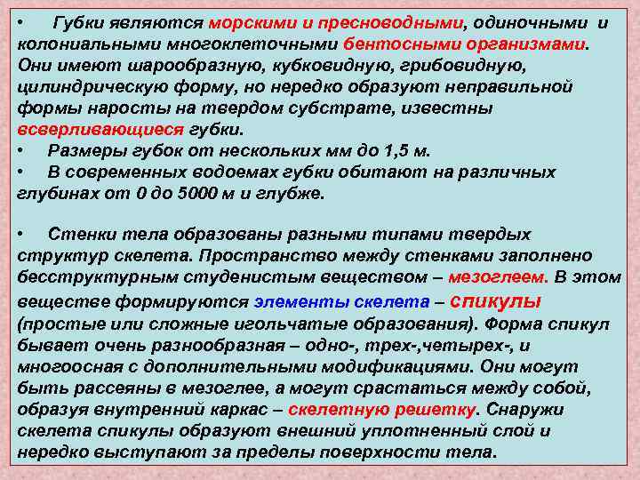  •  Губки являются морскими и пресноводными, одиночными и колониальными многоклеточными бентосными организмами.