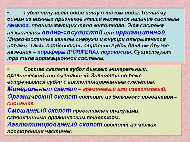  • Губки получают свою пищу с током воды. Поэтому одним из важных признаков