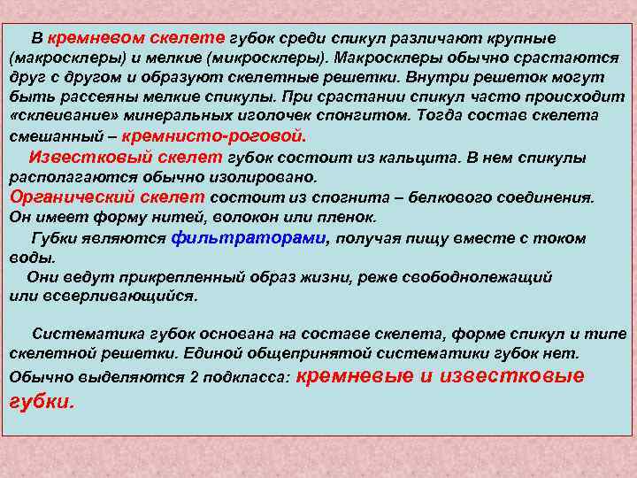  В кремневом скелете губок среди спикул различают крупные (макросклеры) и мелкие (микросклеры).