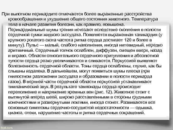 При выпотном перикардите отмечаются более выраженные расстройства  кровообращения и ухудшение общего состояния животного.