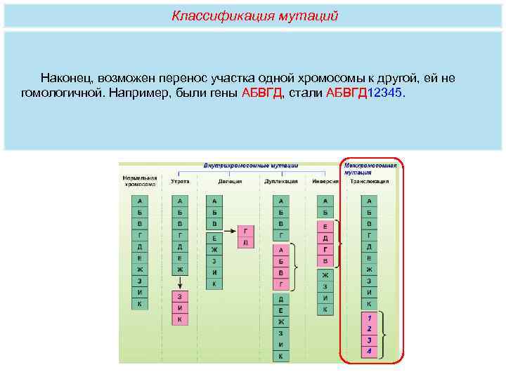 Земле перенос. Перенос участка на негомологичную хромосому. Перемещение участка хромосомы на негомологичную хромосому. Перенос участка хромосомы на другую хромосому, не гомологичную ей. Перенос участка хромосомы на другую хромосому….