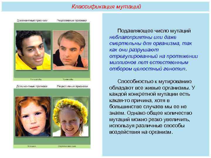 Классификация мутаций   Подавляющее число мутаций  неблагоприятны или даже  смертельны для