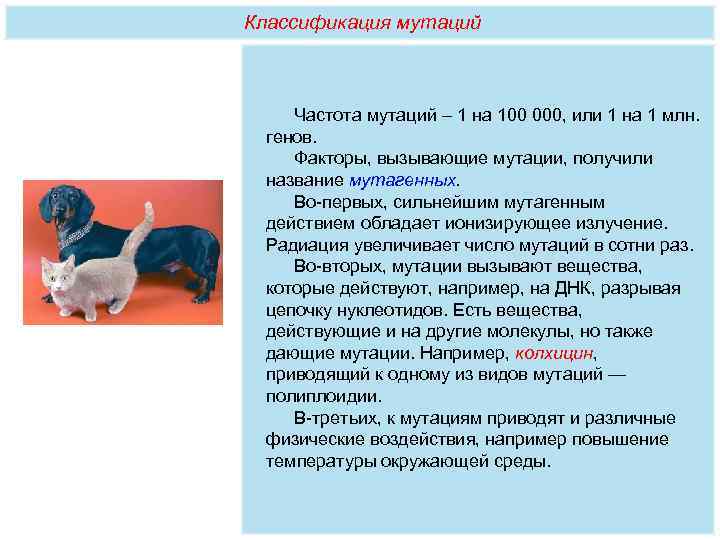 Классификация мутаций  Частота мутаций – 1 на 100 000, или 1 на 1