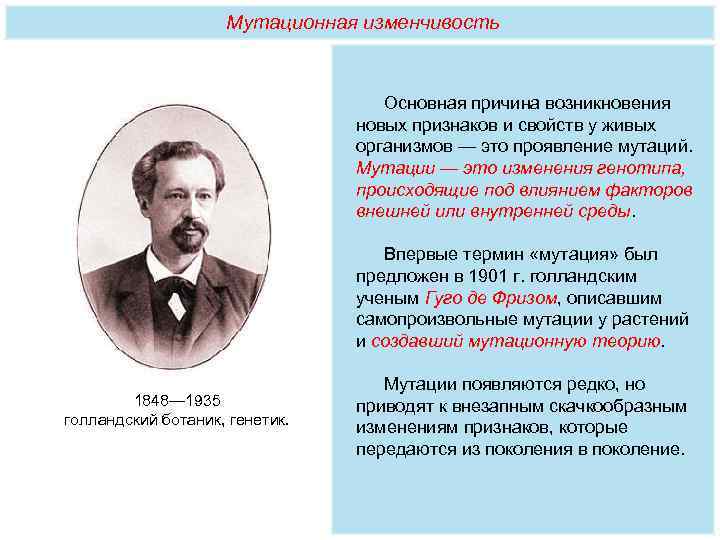     Мутационная изменчивость       Основная причина