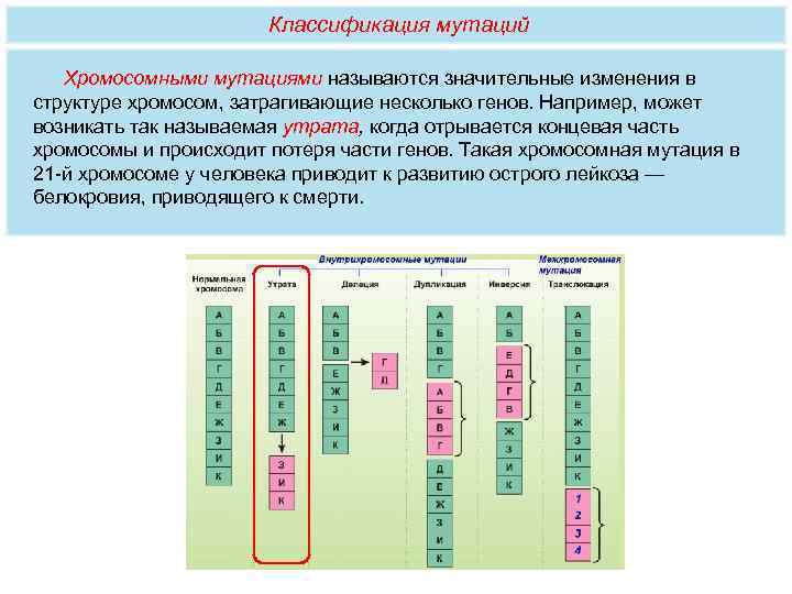 Несколько генов