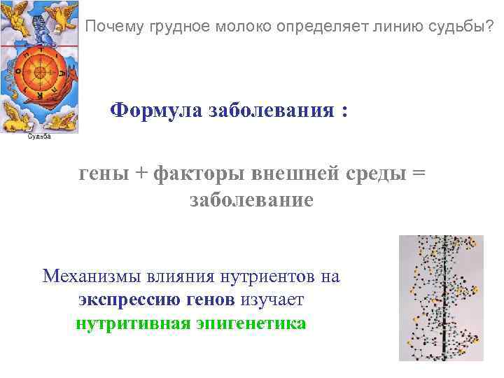 Почему грудное молоко определяет линию судьбы? Формула заболевания : Почему грудное молоко определяет линию судьбы? Формула заболевания :