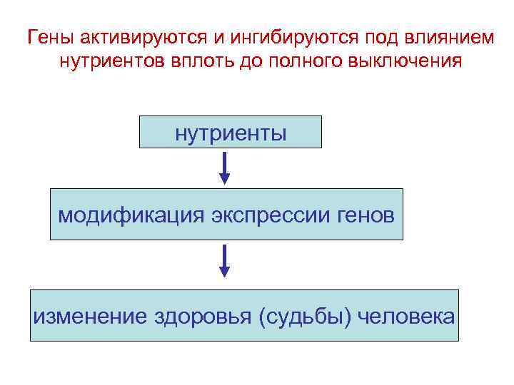 Изменение гена. Первичные и вторичные нутриенты. Грудное молоко может влиять на экспрессию генов. Гены меняются под воздействием ТВ.