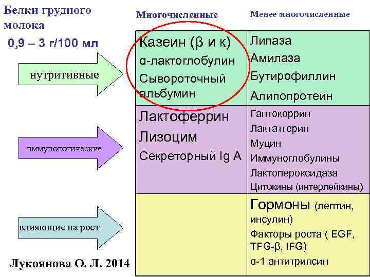Белки грудного Многочисленные Менее многочисленные молока 0, 9 – 3 г/100 мл Белки грудного Многочисленные Менее многочисленные молока 0, 9 – 3 г/100 мл