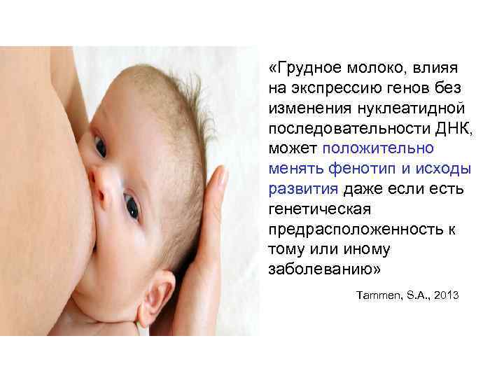  •  «Грудное молоко, влияя  на экспрессию генов без  изменения нуклеатидной