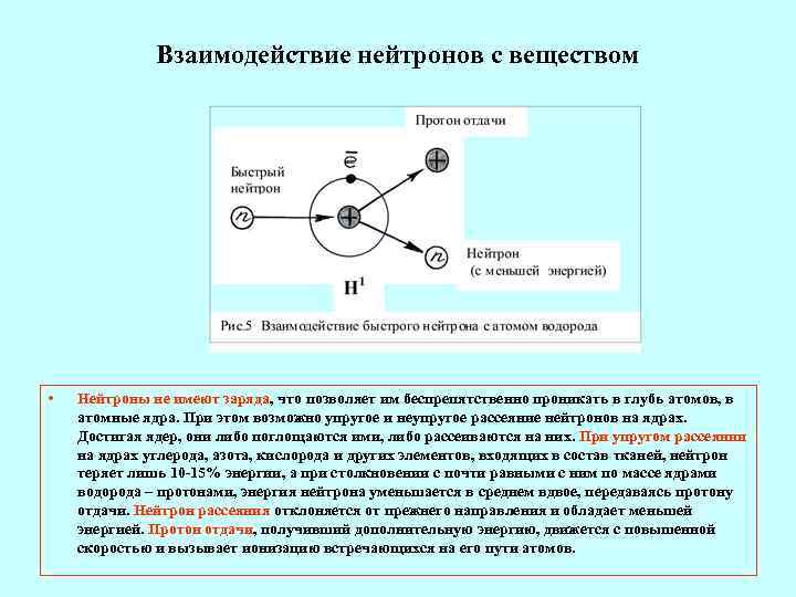    Взаимодействие нейтронов с веществом •  Нейтроны не имеют заряда, что