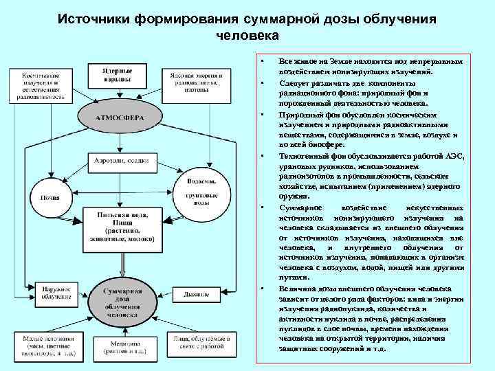 Источники формирования суммарной дозы облучения    человека     