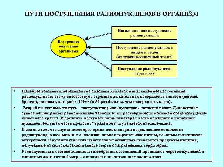  ПУТИ ПОСТУПЛЕНИЯ РАДИОНУКЛИДОВ В ОРГАНИЗМ •  Наиболее важным и потенциально опасным является
