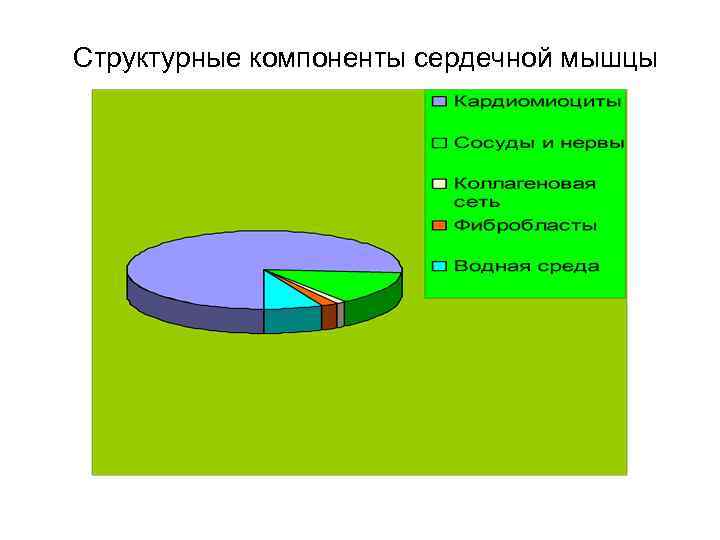 Структурные компоненты сердечной мышцы 