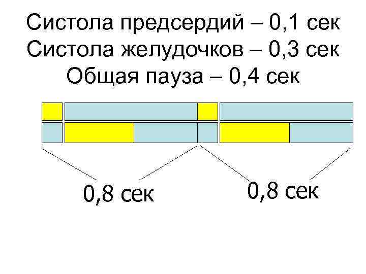 Систола предсердий – 0, 1 сек Систола желудочков – 0, 3 сек  Общая