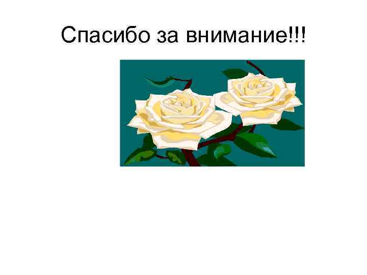 Спасибо за внимание!!! 