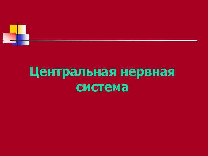 Центральная нервная система Центральная нервная система
