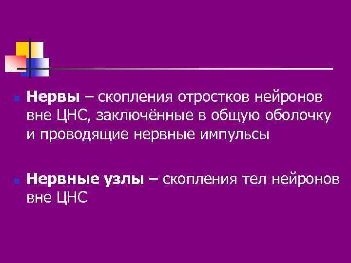 n Нервы – скопления отростков нейронов вне ЦНС, заключённые в общую оболочку и n Нервы – скопления отростков нейронов вне ЦНС, заключённые в общую оболочку и