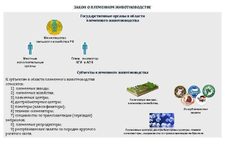       ЗАКОН О ПЛЕМЕННОМ ЖИВОТНОВОДСТВЕ   