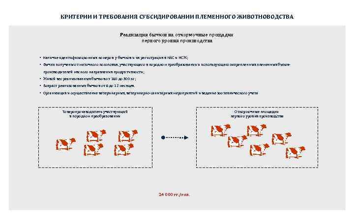   КРИТЕРИИ И ТРЕБОВАНИЯ СУБСИДИРОВАНИИ ПЛЕМЕННОГО ЖИВОТНОВОДСТВА     Реализация бычков