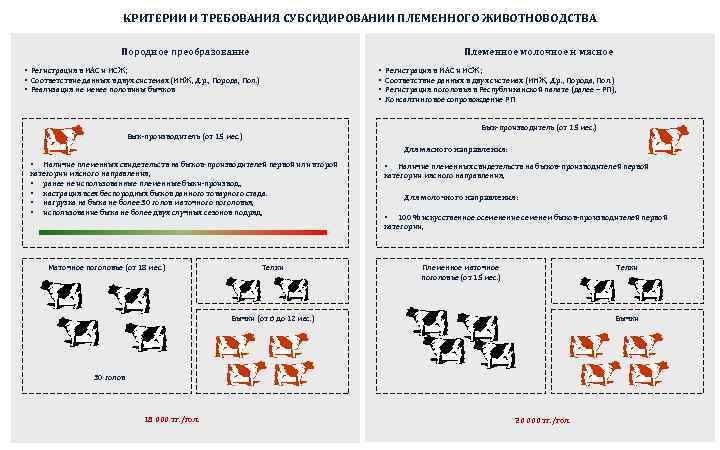      КРИТЕРИИ И ТРЕБОВАНИЯ СУБСИДИРОВАНИИ ПЛЕМЕННОГО ЖИВОТНОВОДСТВА   