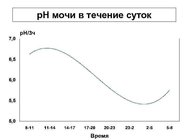 p. H мочи в течение суток 