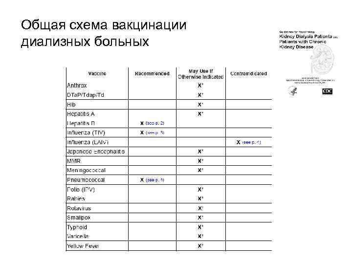 Общая схема вакцинации диализных больных 