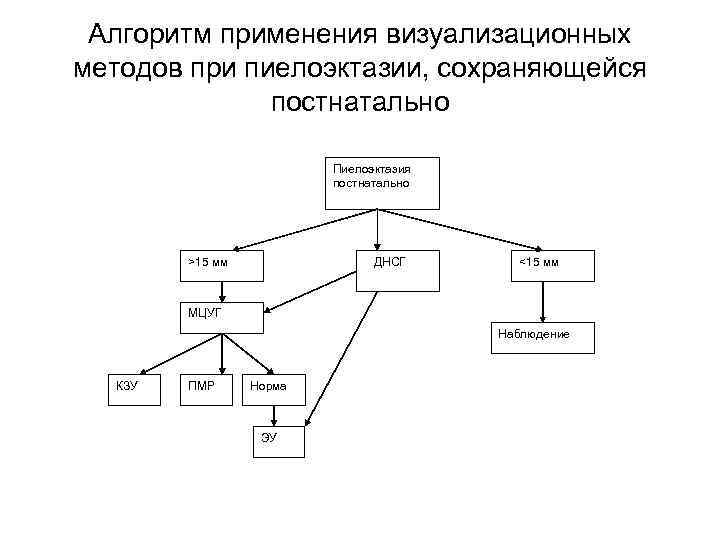 Алгоритм применения визуализационных методов при пиелоэктазии, сохраняющейся    постнатально  