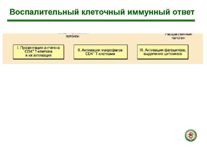 Воспалительный клеточный иммунный ответ 