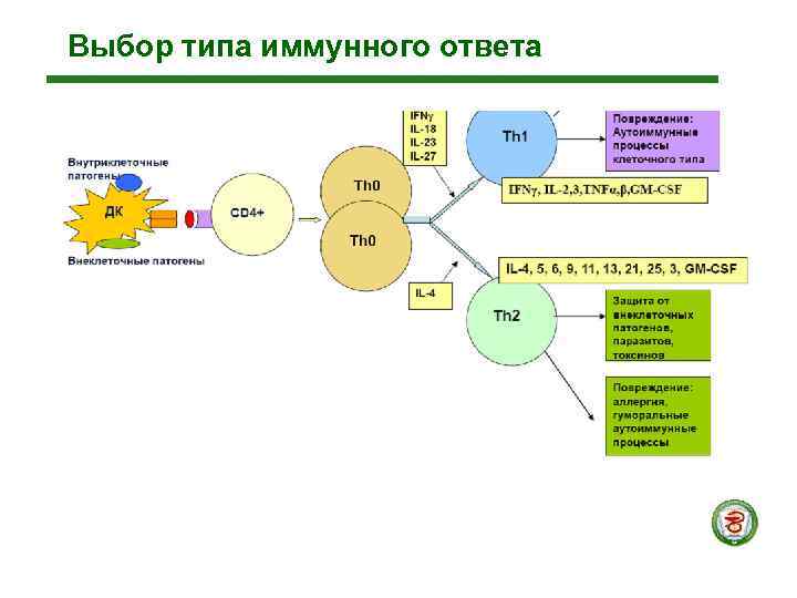 Иммунная карта нейро анализ