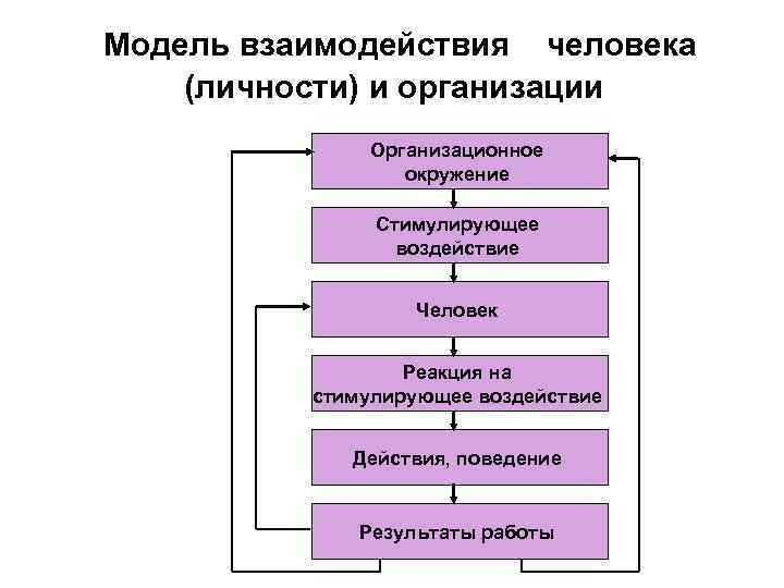 Модель взаимодействия человека (личности) и организации    Организационное    окружение