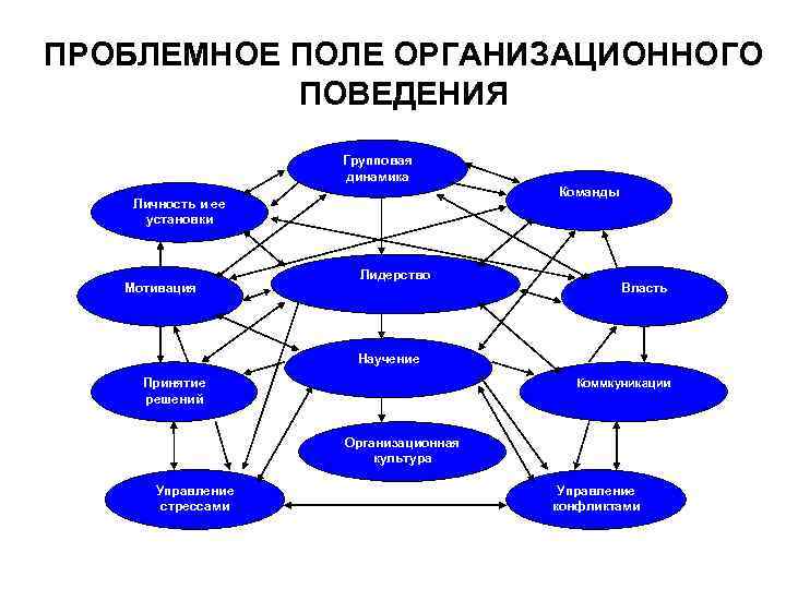 ПРОБЛЕМНОЕ ПОЛЕ ОРГАНИЗАЦИОННОГО  ПОВЕДЕНИЯ     Групповая    