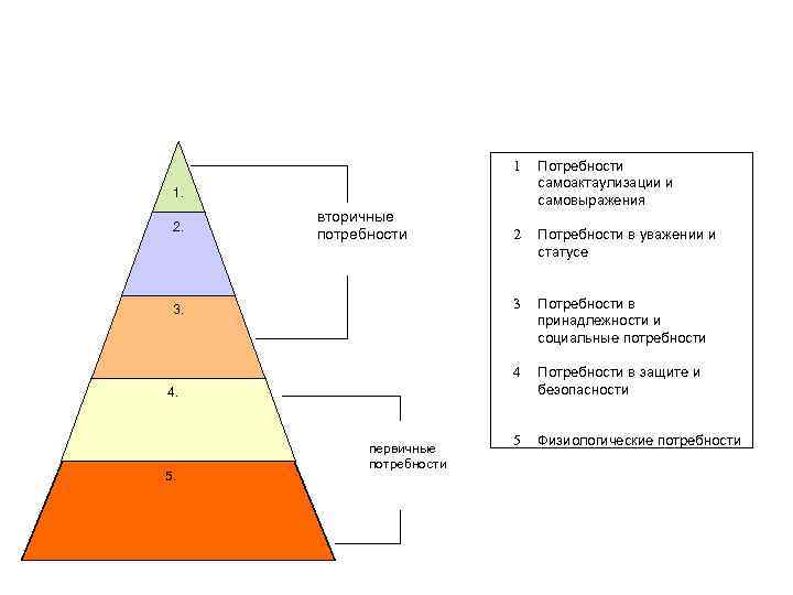      1  Потребности      самоактаулизации
