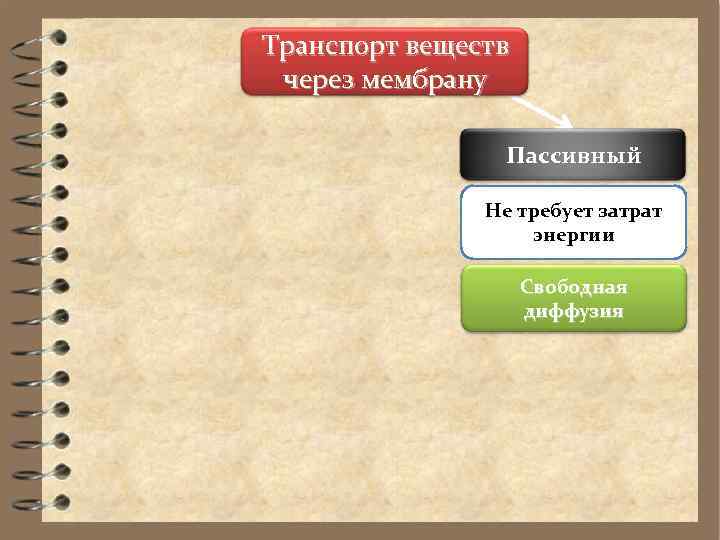 Транспорт веществ через мембрану   Пассивный   Не требует затрат  