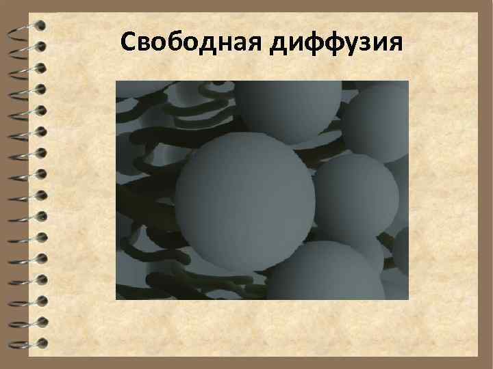 Свободная диффузия 