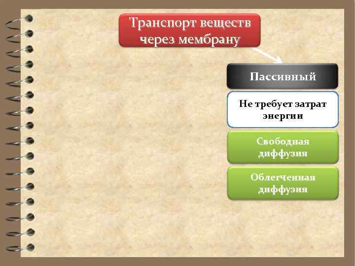 Транспорт веществ через мембрану   Пассивный   Не требует затрат  